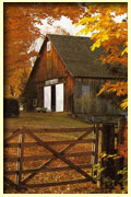 thanksgiving a holiday history